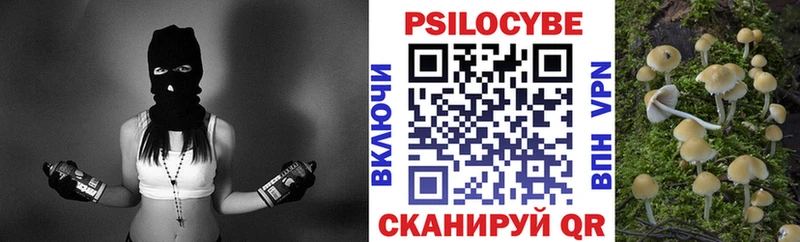 Псилоцибиновые грибы Cubensis  закладка  кракен сайт  Дубна 